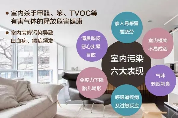 裝修污染早已伸向了學(xué)校？中學(xué)生無(wú)緣高考的背后是什么？
