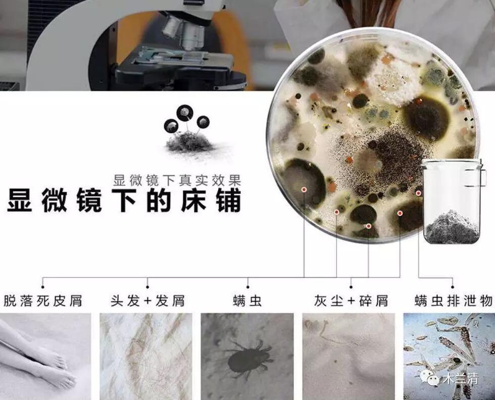 夏日來(lái)臨，木蘭清沸石房+空調，宅家不愁，清爽無(wú)憂(yōu)!