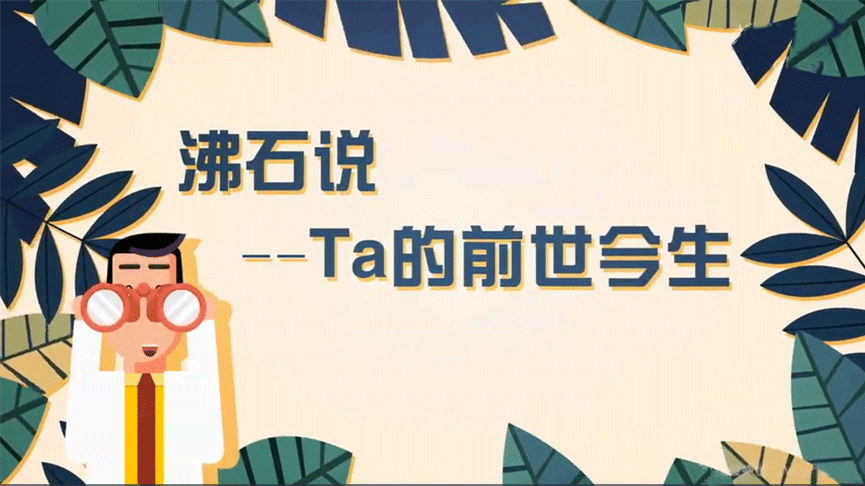 沸石說(shuō)1—沸石是什么?